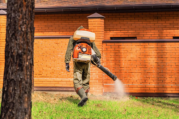 Trusted Rodent Control service in Stanaford, WV - Nex Pest Control